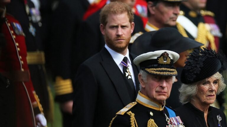 King Charles' rift with Prince Harry deepens as Queen Camilla refuses to intervene: experts