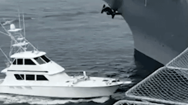 Boat captain arrested after hit-and-run crash into USS Midway museum ship: police