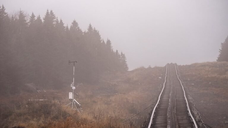 Missing Florida man who wandered away at popular New England tourist destination found dead