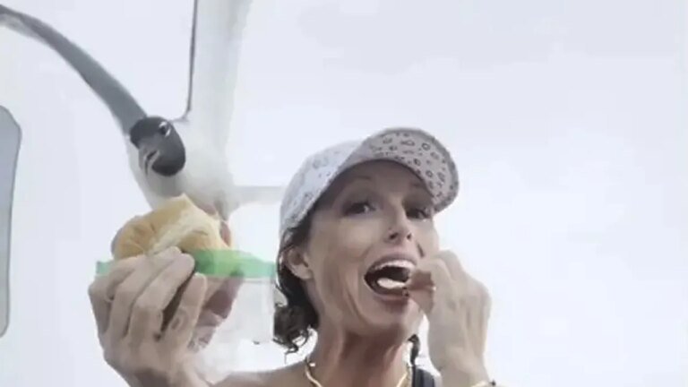 New Jersey seagull snatches sandwich out of stunned woman's hand