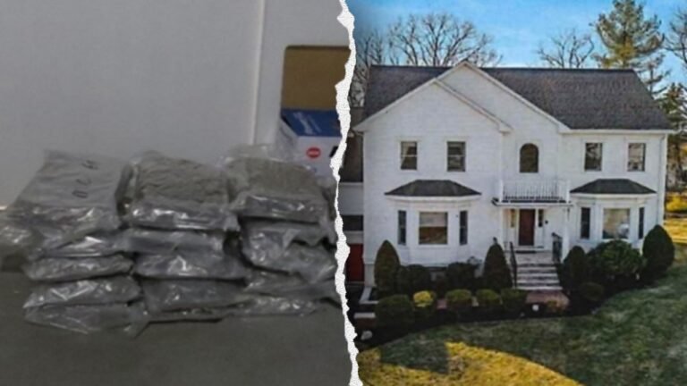 Seven Chinese nationals charged in multimillion-dollar marijuana trafficking operation