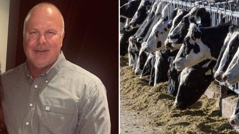 Victims of 'Bernie Madoff of cows' take on major banks in massive ghost cattle Ponzi scheme