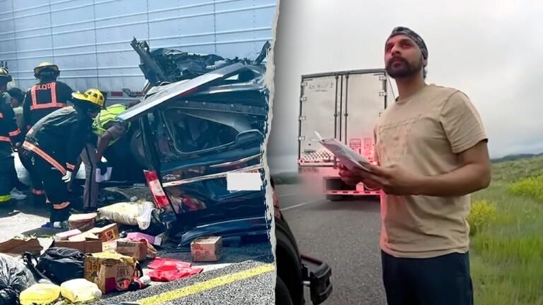 Bodycam video shows illegal immigrant truck driver speaking limited English with New Mexico officer