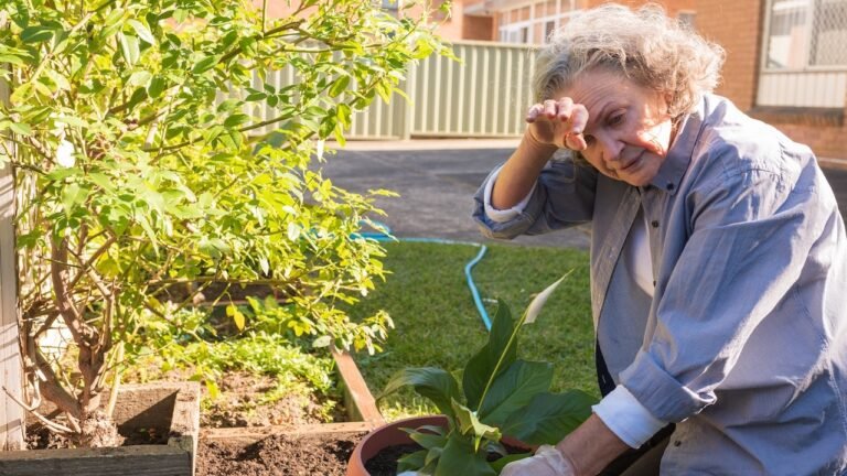 Extreme heat creates 'recipe for disaster' for vulnerable seniors, expert warns
