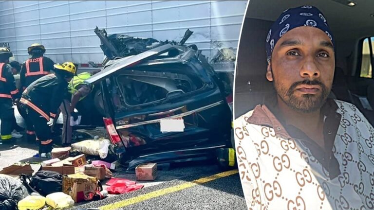Illegal immigrant accused of killing 3 in Florida highway crash crossed border into California in 2018: DHS