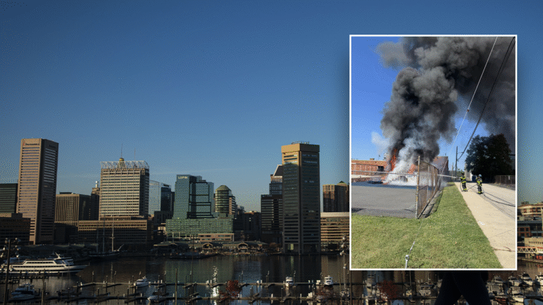 Juvenile crime torments Dem-run city where kids charged in playground arson, Trump threatens federal cleanup