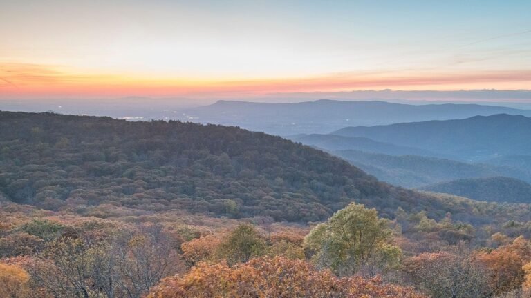 Mountain town rocked after country singer's mom murdered in random home invasion