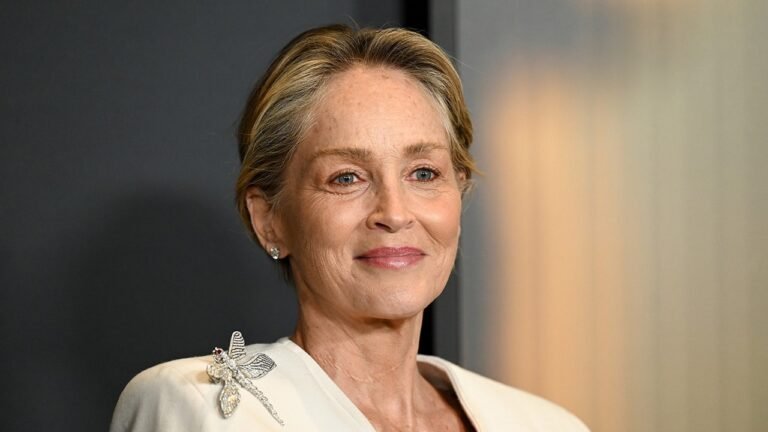 Sharon Stone admits her most lucrative gig isn't acting after losing $18M post-health scare