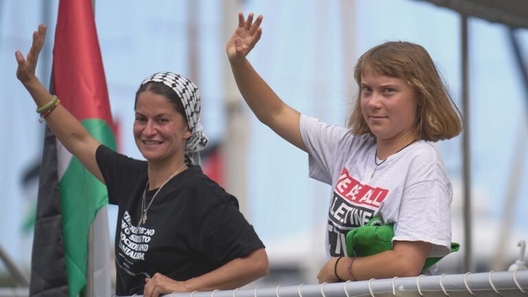 Greta Thunberg flotilla won't be unloading anything on Gaza's beaches, warns expert