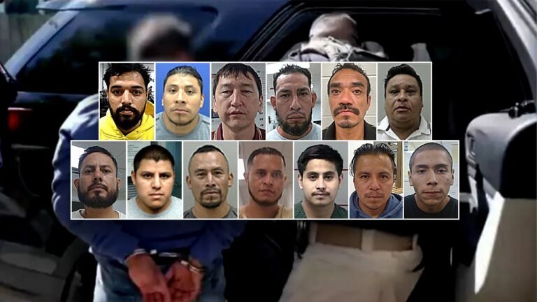 ICE arrests 'pedophiles, rapists, abusers' in Chicago sanctuary city crackdown operation