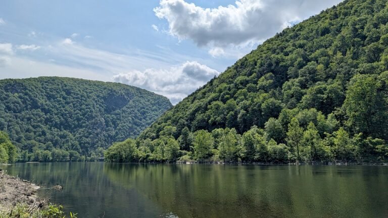 Man swimming across Pennsylvania river drowns near family picnic area