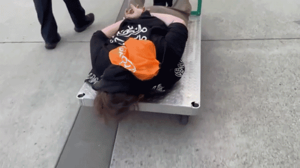 ICE video goes viral as agency uses cart to wheel Portland protester into custody: 'Refuse to walk? We’ll give you a ride'