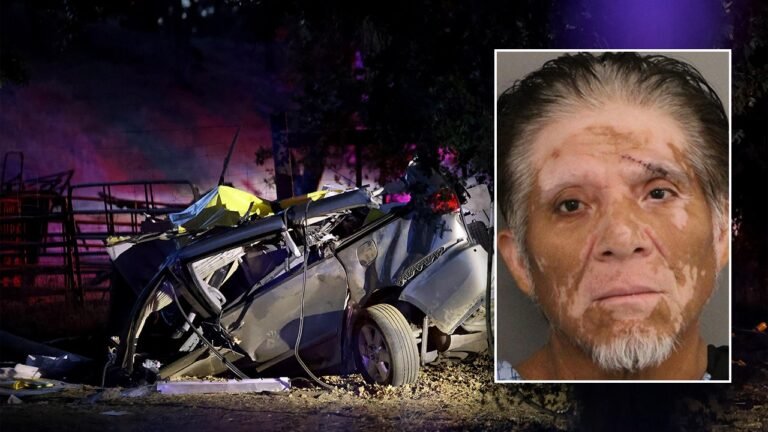 Previously deported blue state driver charged with murdering six people in crash: report