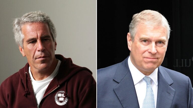 Prince Andrew told Jeffrey Epstein 'we are in this together' after Virginia Giuffre photo surfaced