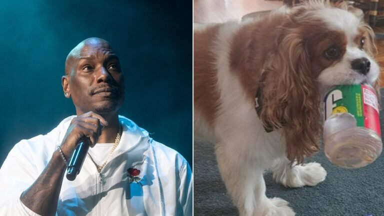 ‘Fast & Furious’ actor Tyrese Gibson faces arrest warrant after dogs allegedly kill neighbor's pet
