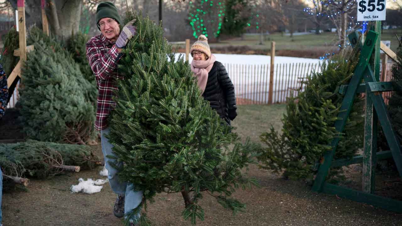 'Too early for Christmas'? Americans clash as stores push holiday tree sales