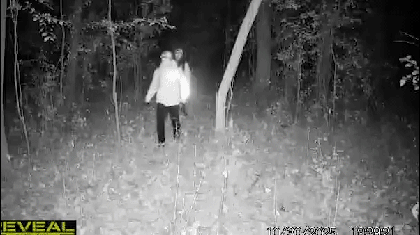 Masked thieves in South American crime ring loot American homes in coordinated pattern, police warn