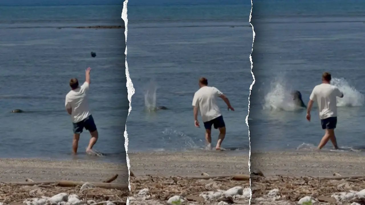 Suspect in viral monk seal harassment video says he was doxxed as federal court fight begins
