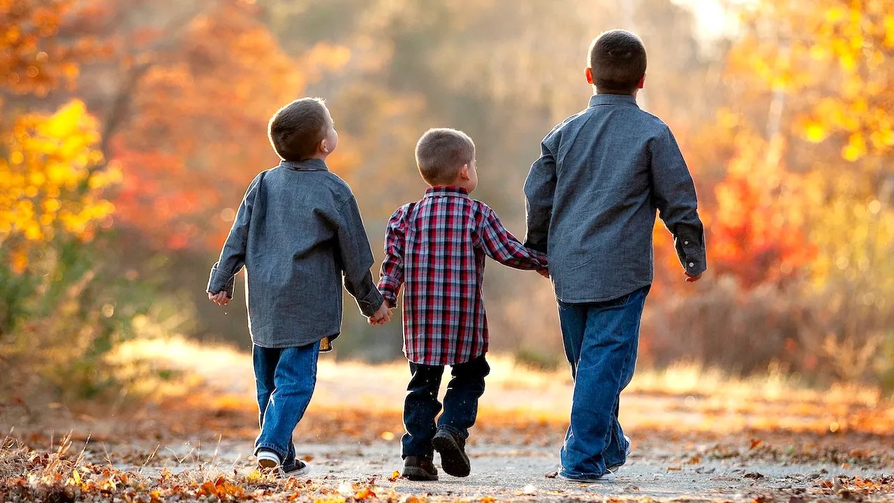 Birth order linked to 150 health conditions in study of 10 million American siblings - NEW YORK TIMES POST
