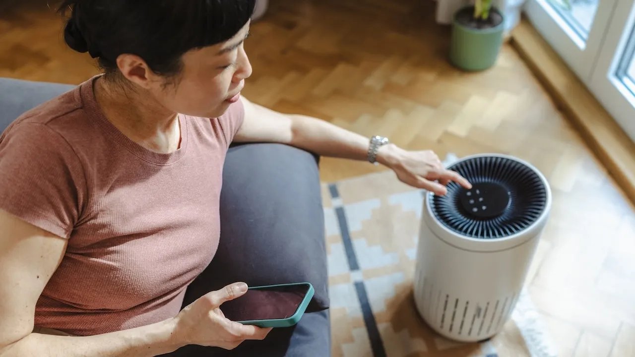 Fall allergies acting up? This $90 Levoit air purifier just dropped to $70 — plus 9 more picks