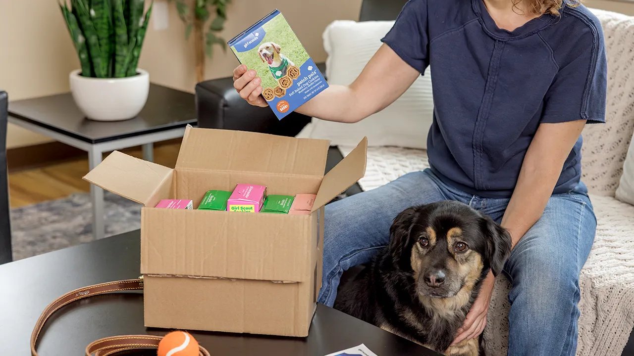 Girl Scout cookies going to the dogs as vet warns against 'unintentionally overfeeding'