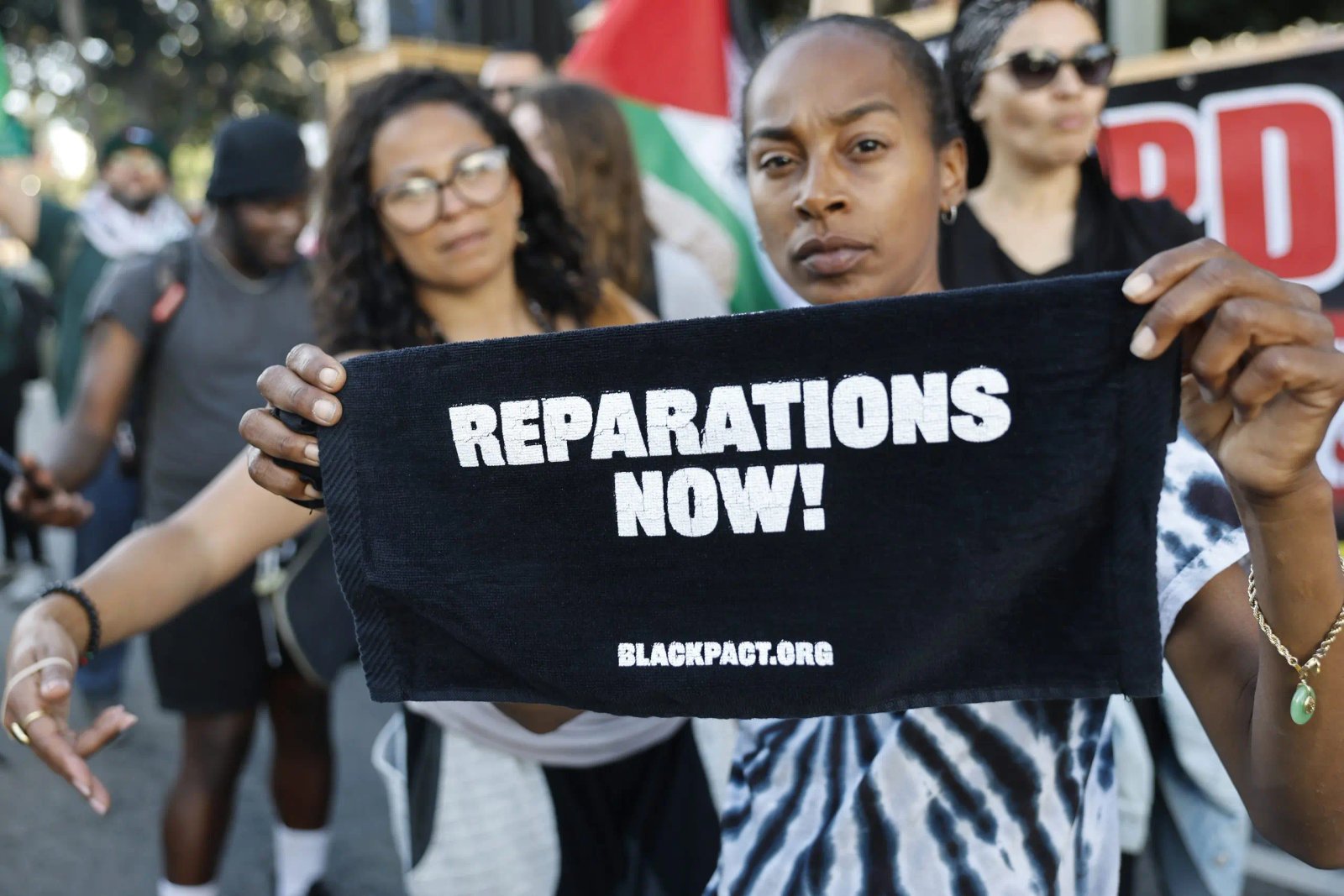 Reparations activists call out blue states for using slavery history to fund broader agenda