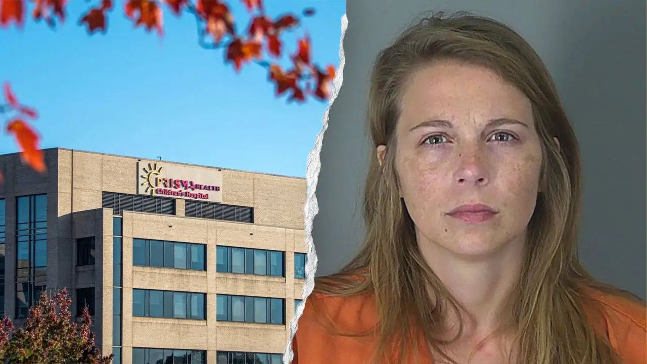 South Carolina mom accused of knife attack on young children; 6-year-old may lose arm: sheriff's office