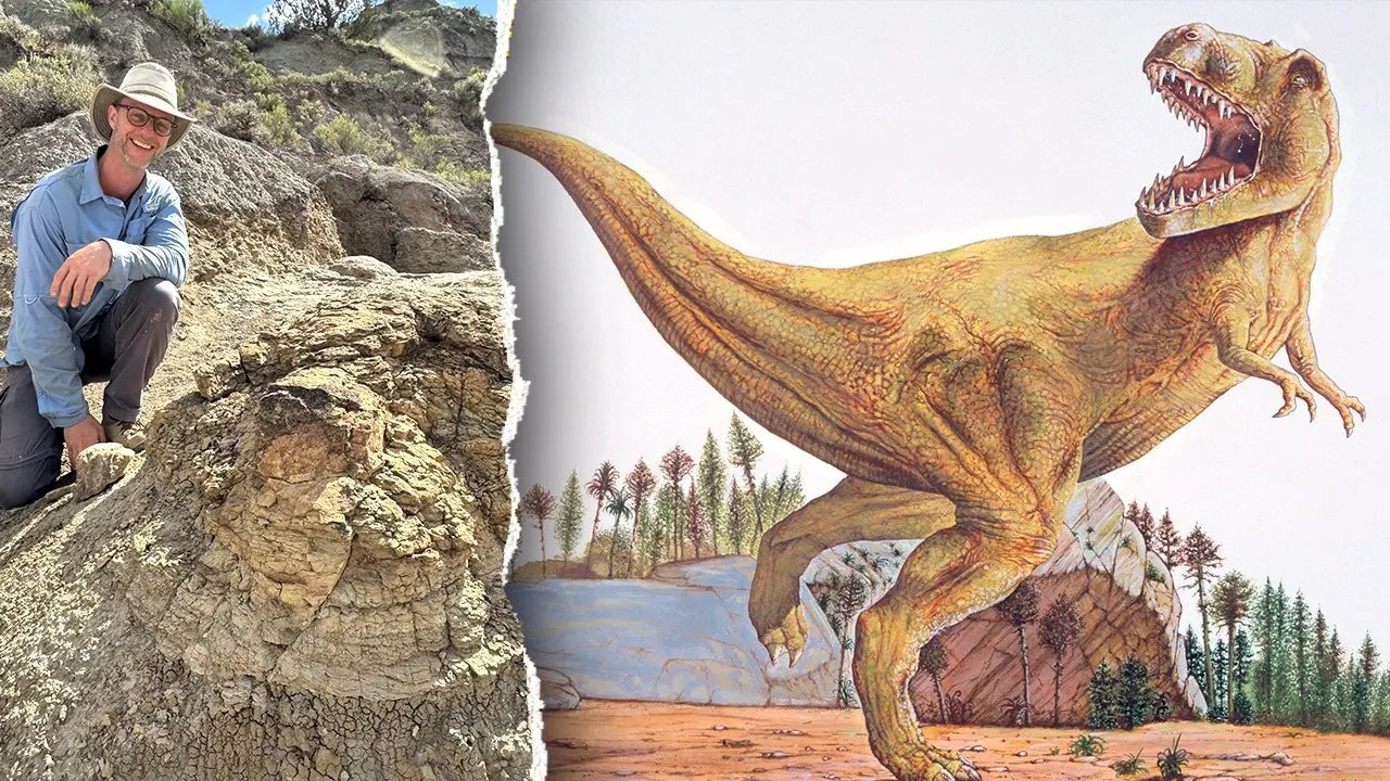T rex footprints unearthed in first-ever discovery 66 million years after creature walked the Earth