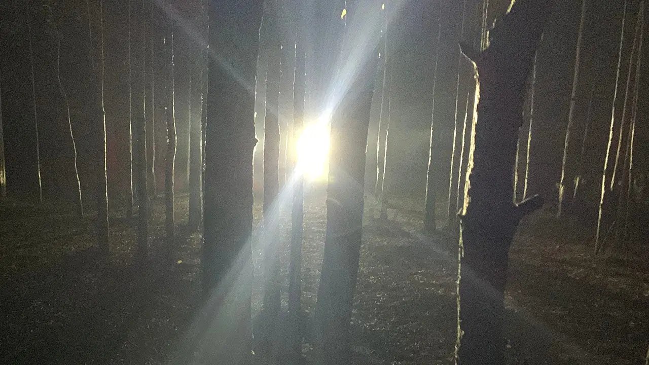 Country boys in Kentucky hear knocks in woods at night before one catches glimpse of Bigfoot with spotlight