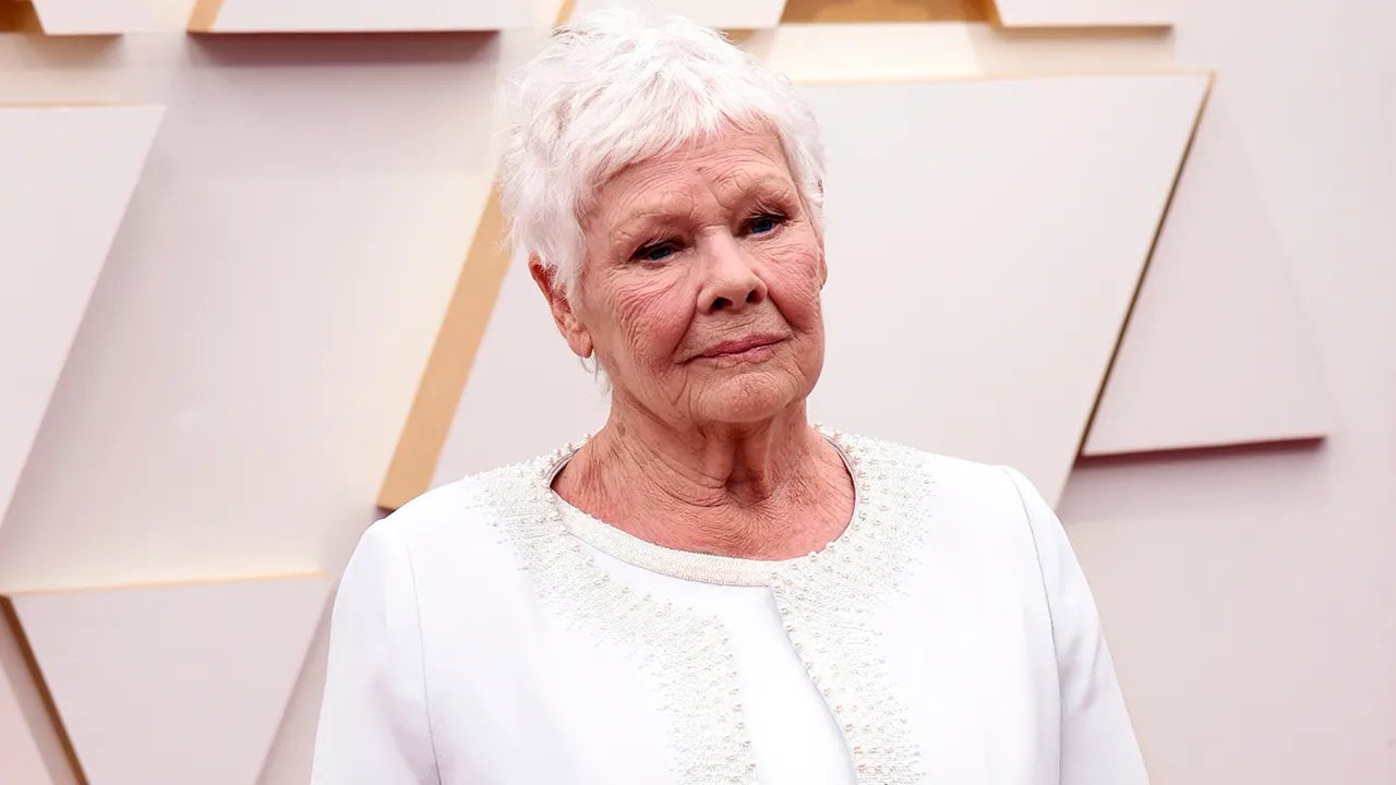 Judi Dench blasts 'trigger warnings' ruining stories, 'drives me wild'
