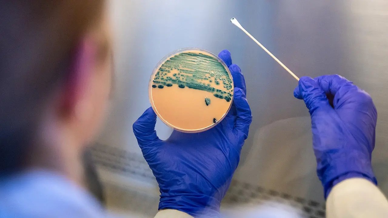 Stomach-turning sexually transmitted infection is on the rise — and standard medicines are failing