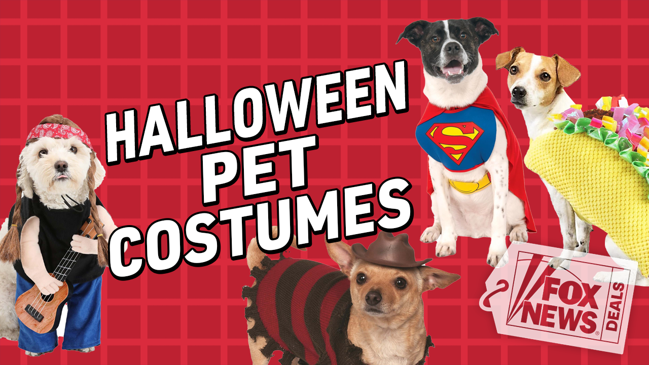 Yes, your dog needs a Halloween costume – here are 13 options